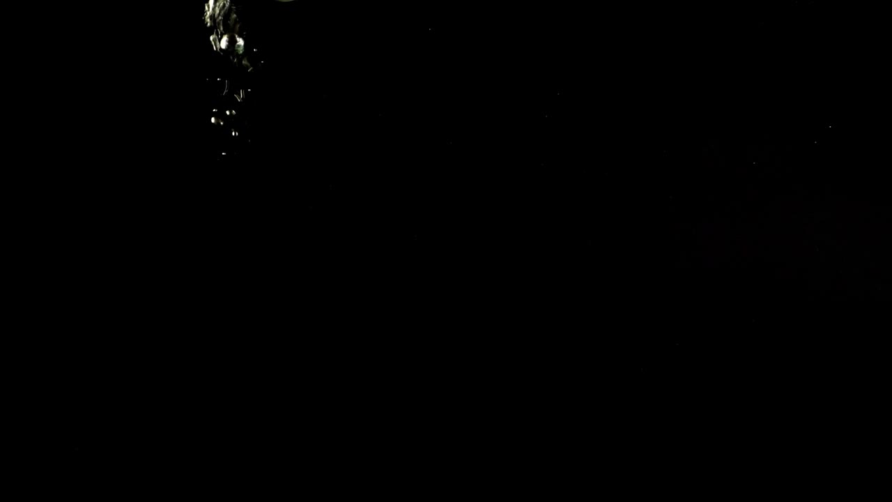 Download Stock Video Bubbles Under Water On Black Background Live Wallpaper For PC