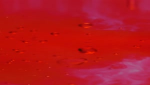 Stock Video Bubbles Under Red Water Live Wallpaper For PC