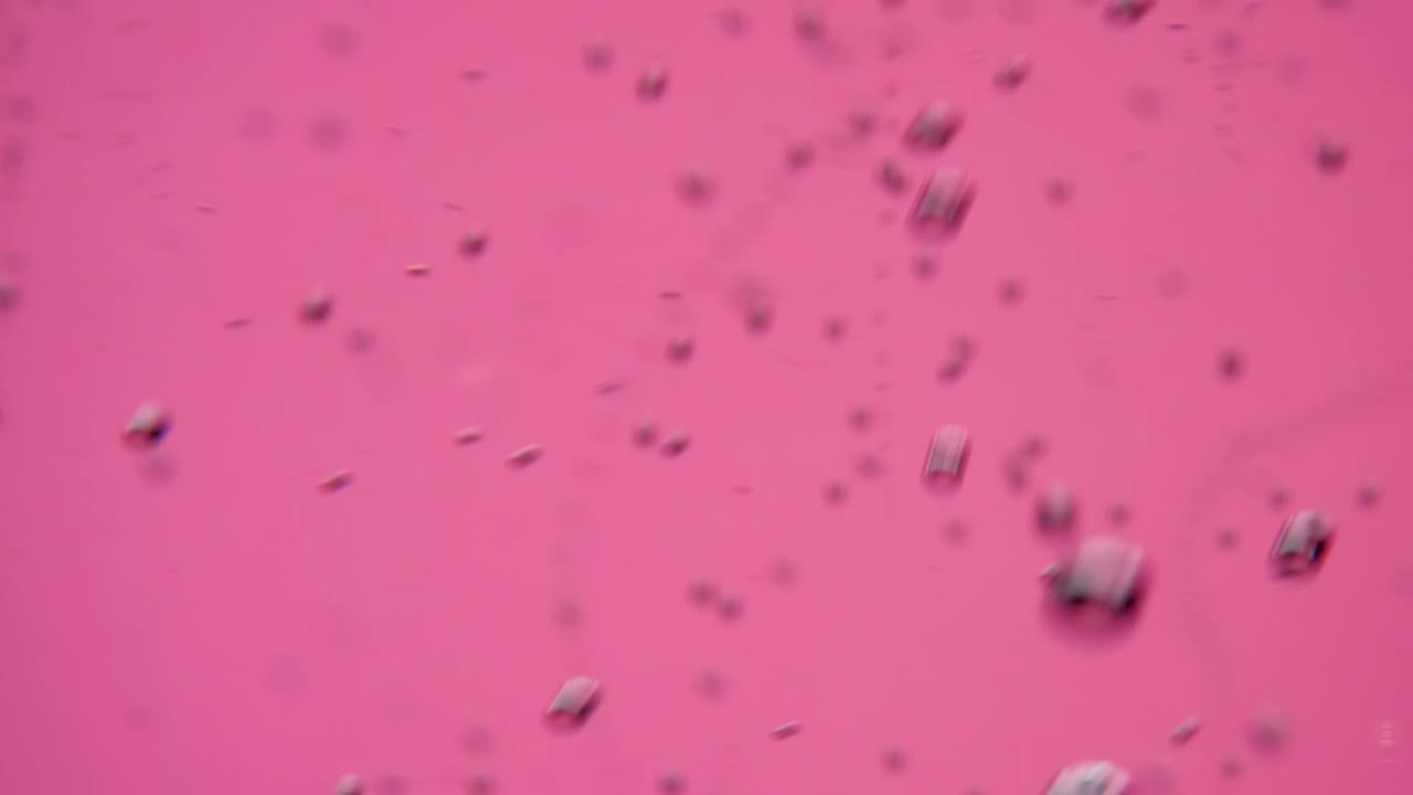 Download Stock Video Bubbles On A Pink Background Live Wallpaper For PC
