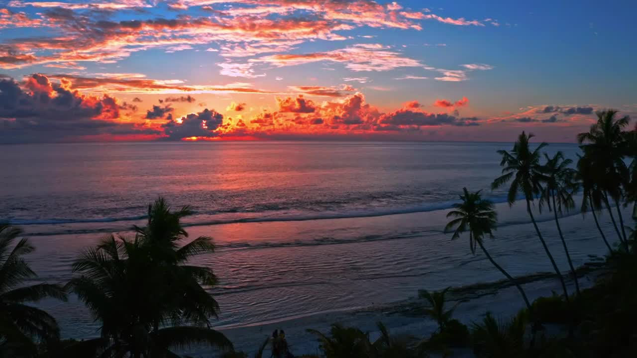 Download Stock Video Bright Orange Sunset On Beach Live Wallpaper For PC