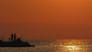 Stock Video Bright Orange Evening Across The Ocean Live Wallpaper For PC