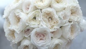 Stock Video Bridal Bouquet Of White Flowers In A Close Up Shot Live Wallpaper For PC