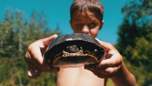 Stock Video Boy Showing A Small Turtle To The Camera Live Wallpaper For PC