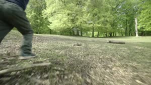 Stock Video Boy Running Towards A Forest Live Wallpaper For PC