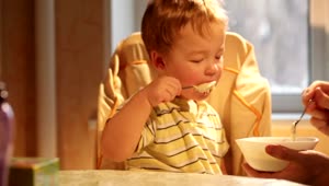Stock Video Boy Eating Porridge Live Wallpaper For PC