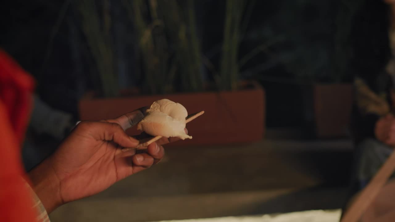 Download Stock Video Boy Eating Marshmallows With His Friends At A Campfire Live Wallpaper For PC