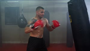 Stock Video Boxer Training Hard Live Wallpaper For PC