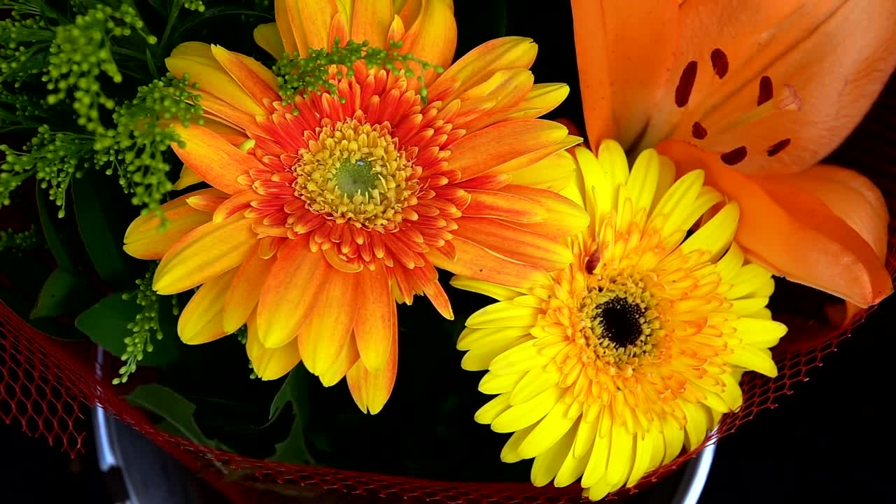 Download Stock Video Bouquet Of Orange And Yellow Flowers Close Up Live Wallpaper For PC