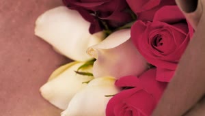 Stock Video Bouquet Of Flowers Live Wallpaper For PC