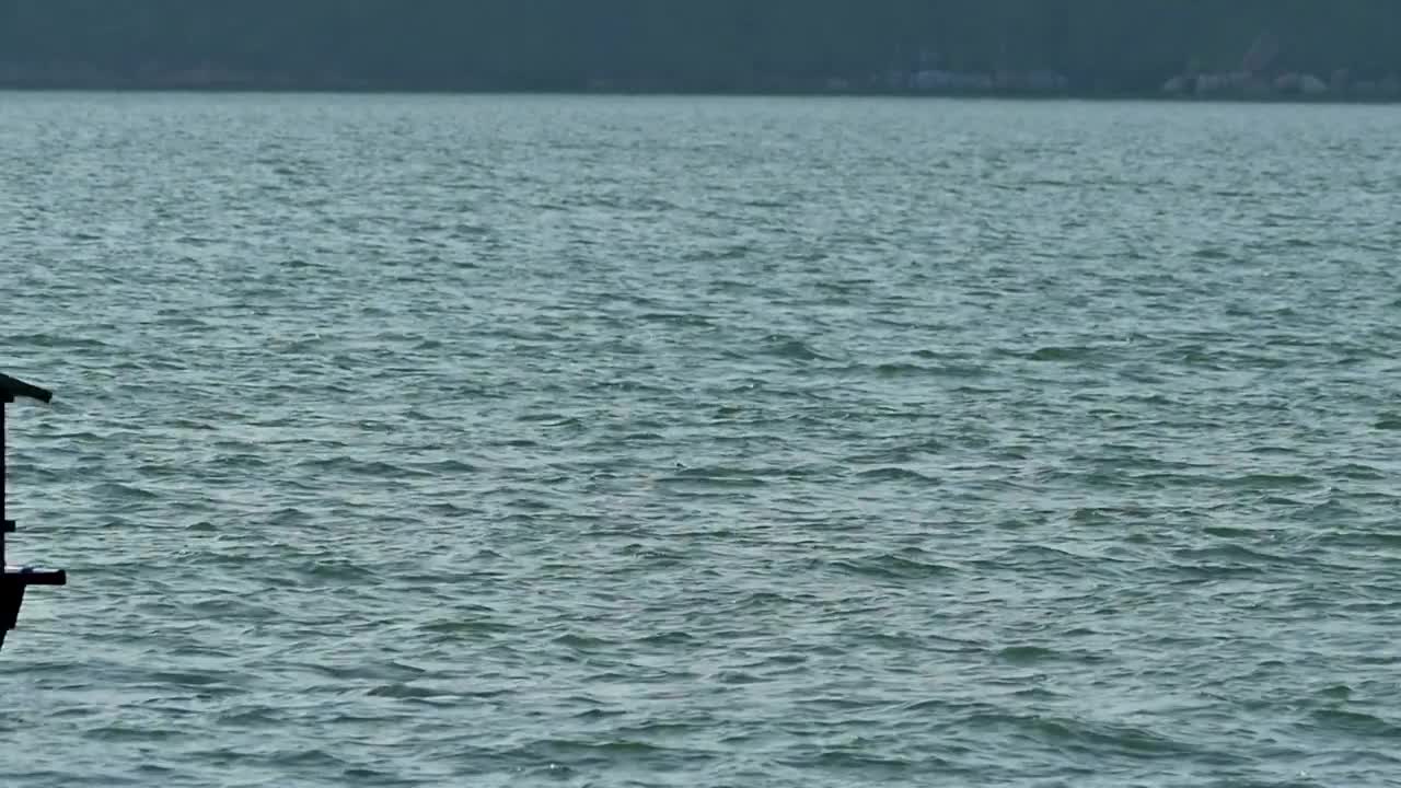 Download Stock Video Boats Rocking In Calm Water Live Wallpaper For PC