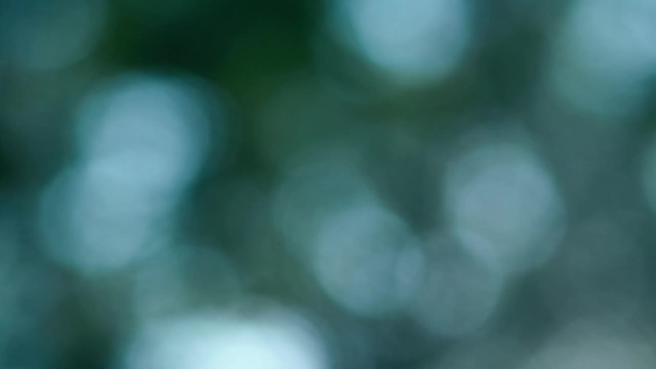 Download Stock Video Blurred Video Of Sky Light Passing Through A Tree Live Wallpaper For PC