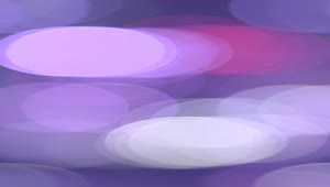 Stock Video Blurred Purple Lights Bokeh Live Wallpaper For PC