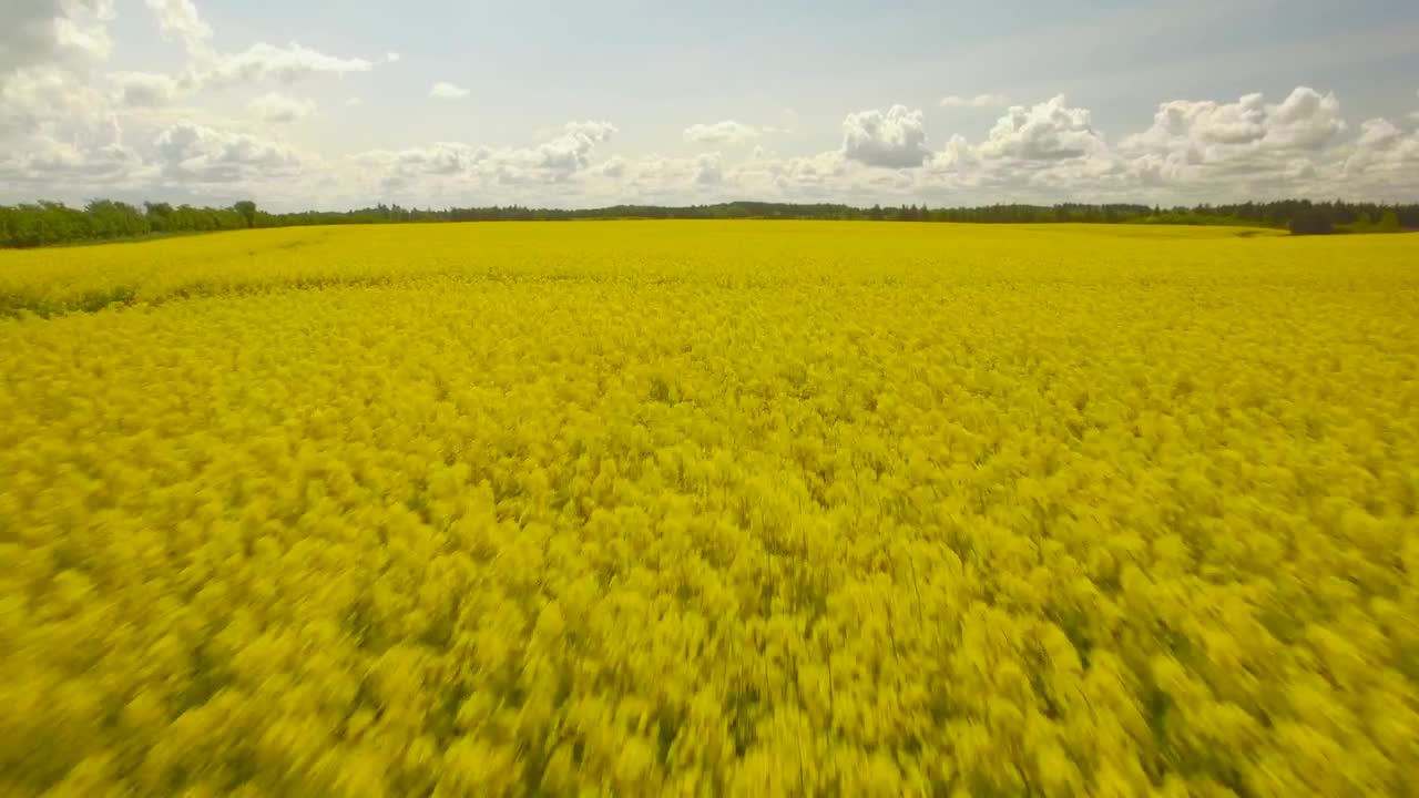 Download Stock Video Blue Sky And Fields Live Wallpaper For PC