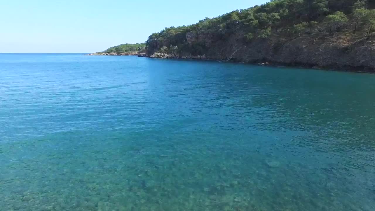 Download Stock Video Blue Sea And Forest Live Wallpaper For PC