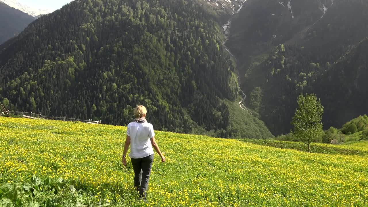 Download Stock Video Blonde Woman Walking In A Flower Field In The Mountain Live Wallpaper For PC