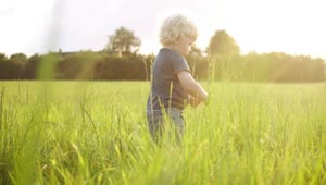Stock Video Blonde Boy Playing In A Field Live Wallpaper For PC