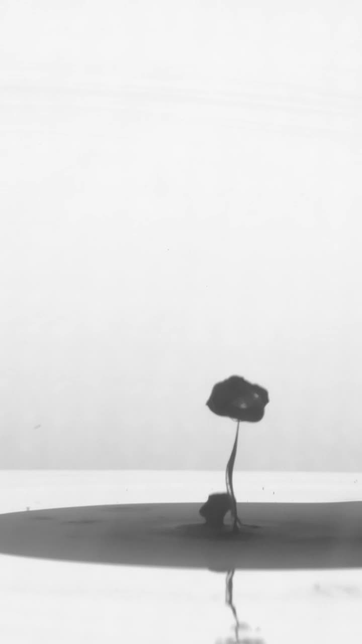 Download Stock Video Black Ink Shot Underwater Live Wallpaper For PC