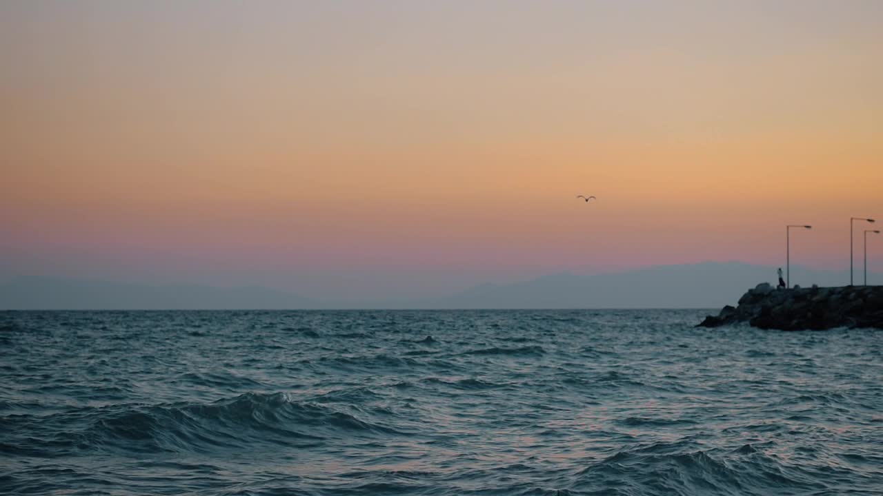 Download Stock Video Bird Flying Towards A Pier Live Wallpaper For PC