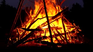 Stock Video Big Bonfire Burning In The Night Live Wallpaper For PC