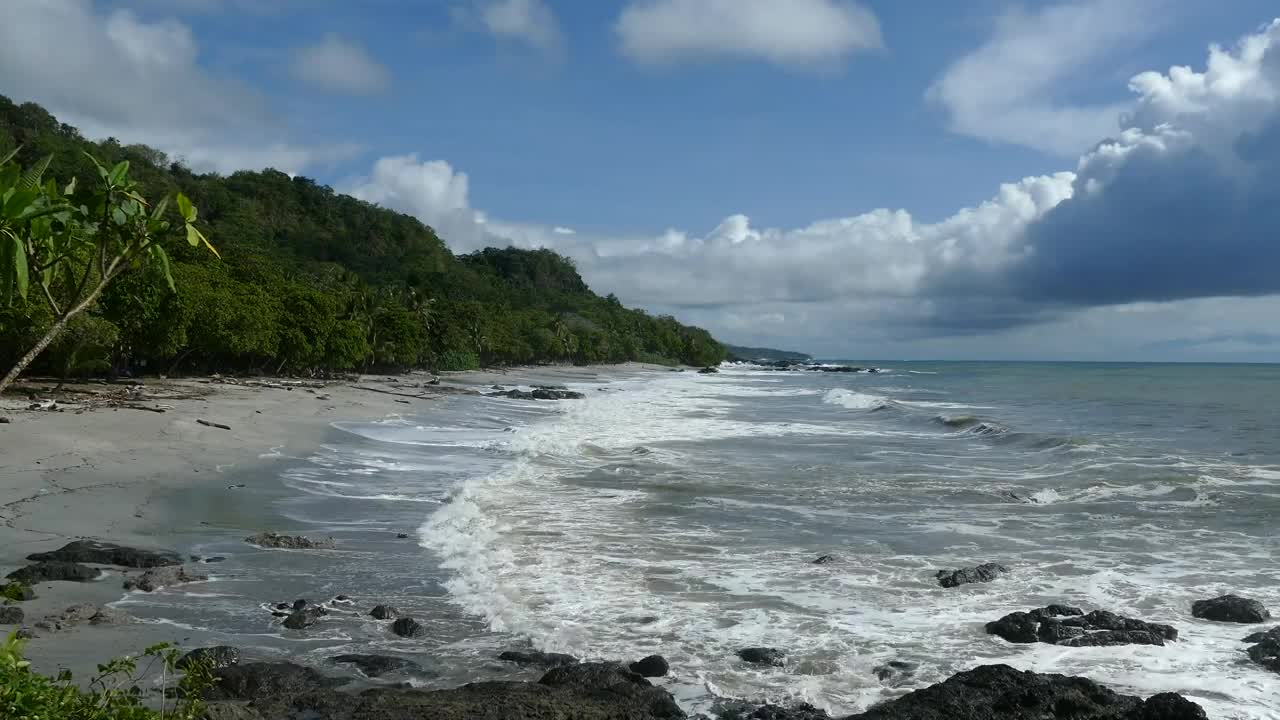 Download Stock Video Beautiful Tropical Beach And Jungle Live Wallpaper For PC