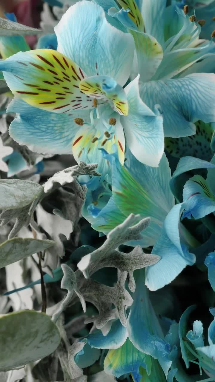 Download Stock Video Beautiful Texture Of Blue Flowers Live Wallpaper For PC