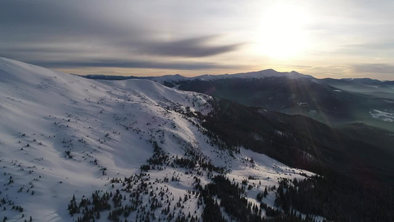 Download Stock Video Beautiful Landscape Of A Forest In The Mountains Live Wallpaper For PC