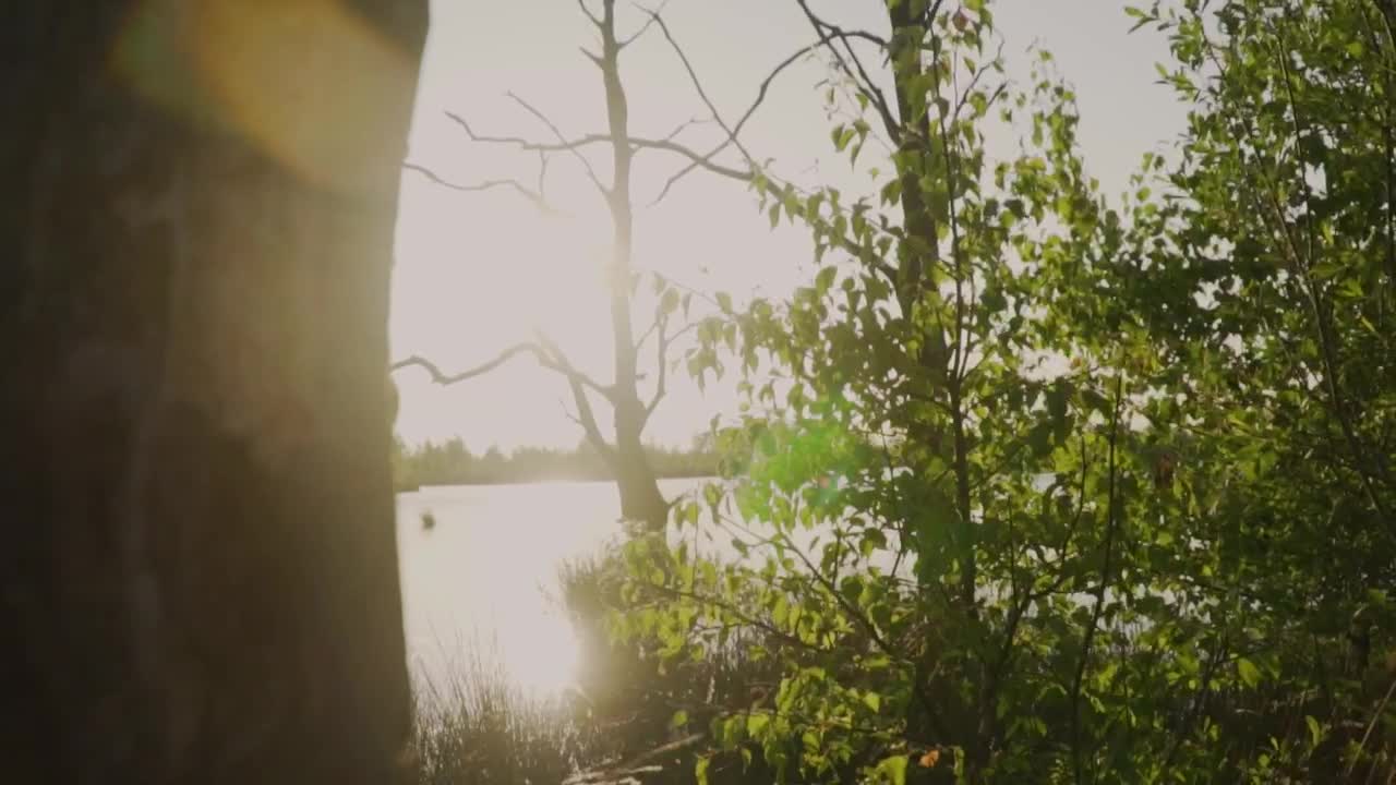 Download Stock Video Beautiful Lake In A Quiet Forest Live Wallpaper For PC