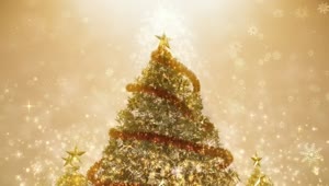 Stock Video Beautiful Giant Christmas Tree Spinning d Render Live Wallpaper For PC