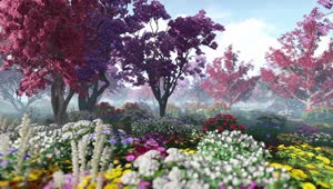Stock Video Beautiful Garden d Animation Live Wallpaper For PC