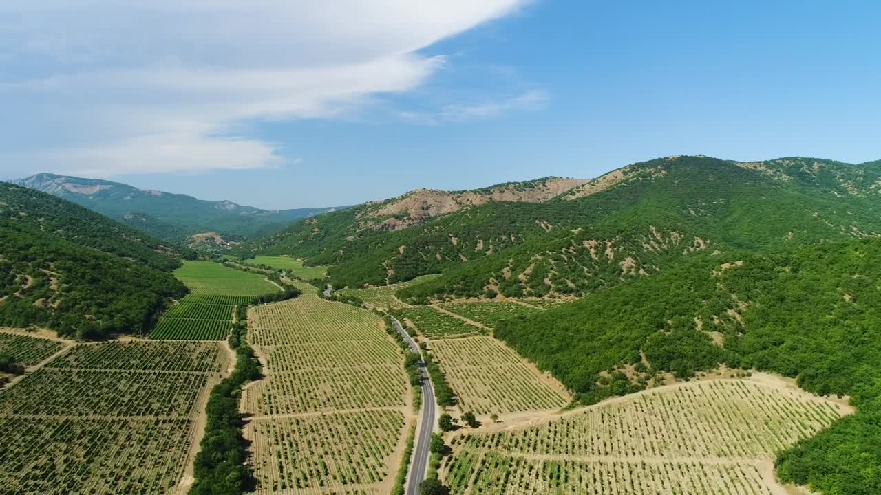 Download Stock Video Beautiful Fields Of Crops Live Wallpaper For PC