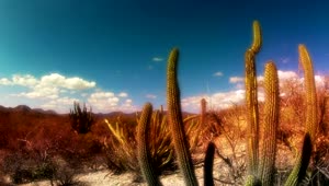 Stock Video Beautiful Desert Landscape Timelapse Live Wallpaper For PC
