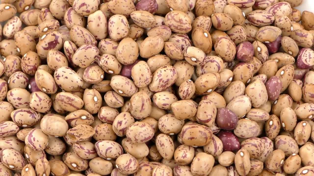 Download Stock Video Beans In Detail Spinning Shot Live Wallpaper For PC