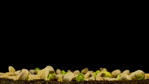 Stock Video Beans Germination On Black Background Live Wallpaper For PC