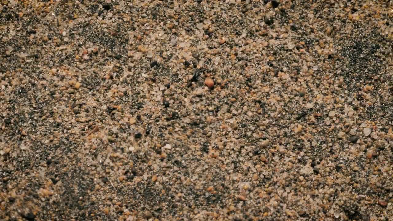 Download Stock Video Beach Sand Close Up Live Wallpaper For PC