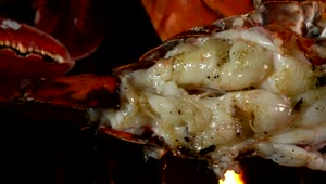 Video Stock Closeup Of Grilled Seafood Live Wallpaper For PC