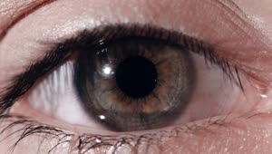 Video Stock Closeup Of A Dark Grey Eye Live Wallpaper For PC