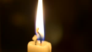 Video Stock Closeup Of A Church Candle Live Wallpaper For PC