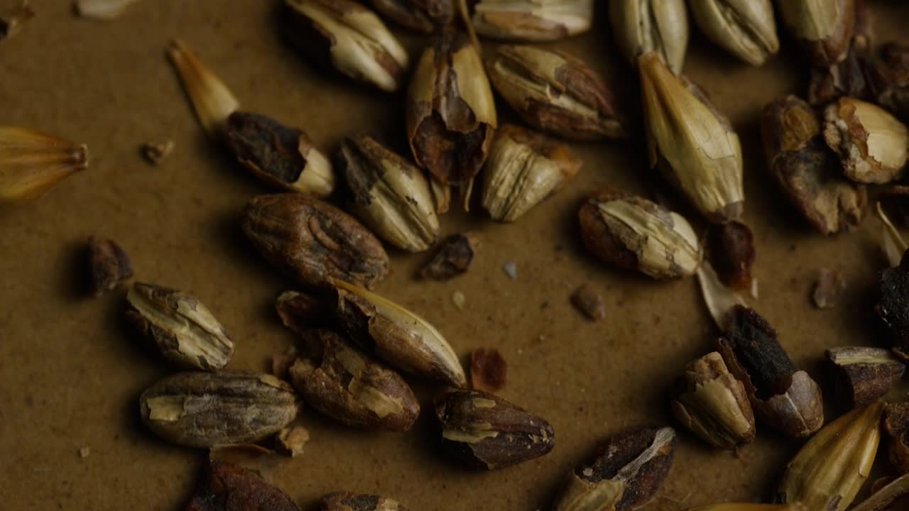 Download Video Stock Close Up Of Broken Barley Live Wallpaper For PC