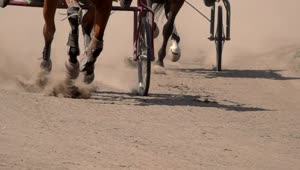 Video Stock Close Up Of A Race With Horses And Wagons Live Wallpaper For PC