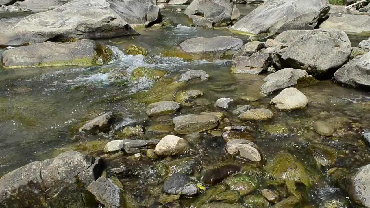 Download Video Stock Clear And Shallow River Live Wallpaper For PC