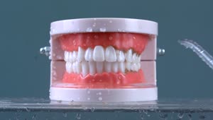 Download Video Stock Cleaning Fake Teeth With Dentist Irrigator Live Wallpaper For PC