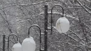 Video Stock City Street Lights Covered In Snow Live Wallpaper For PC