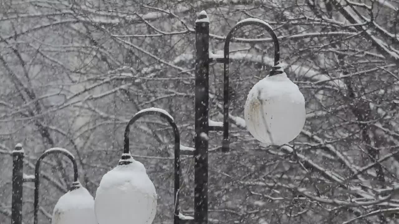 Download Video Stock City Street Lights Covered In Snow Live Wallpaper For PC