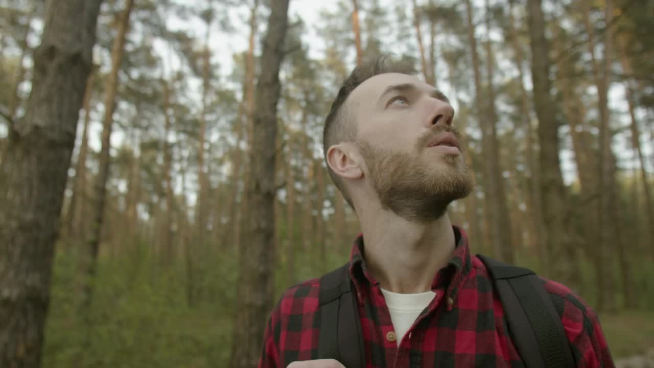 Download Video Stock Cinematic View Of Man Enjoying Forest Air Live Wallpaper For PC