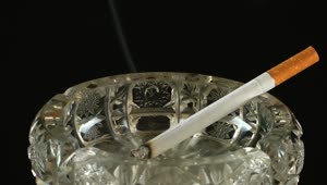 Download Video Stock Cigarette Burning In An Ashtray Live Wallpaper For PC