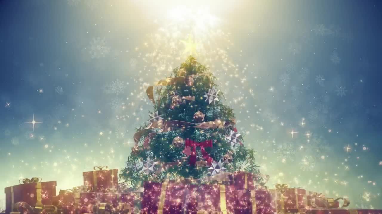 Download Video Stock Christmas Tree With A Very Bright Star Live Wallpaper For PC