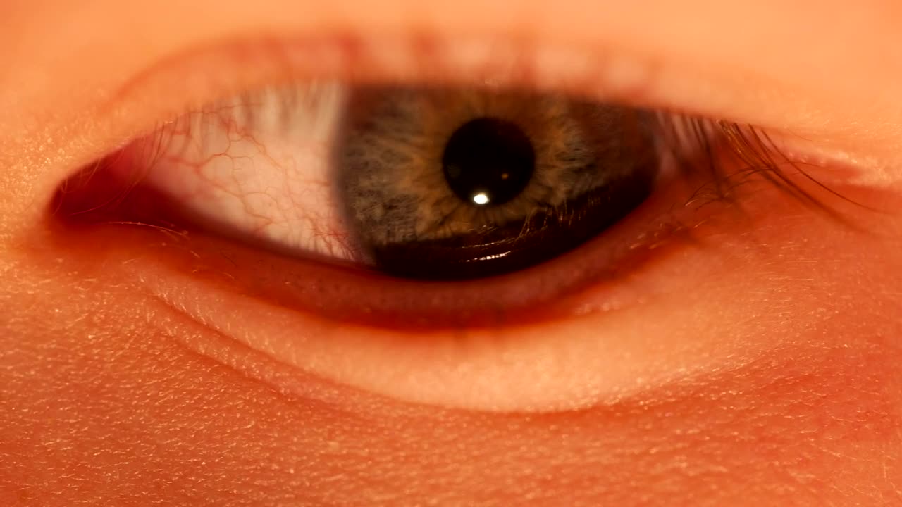 Download Video Stock Childs Eye Looking Around Live Wallpaper For PC