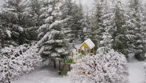 Video Stock Childrens Play Area In A Winter Forest Live Wallpaper For PC
