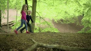 Video Stock Children Walking Through A Forest Live Wallpaper For PC