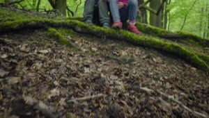 Video Stock Children Resting In Woodland Live Wallpaper For PC